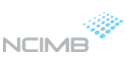 Ncimb Tombstone Logo 250x130