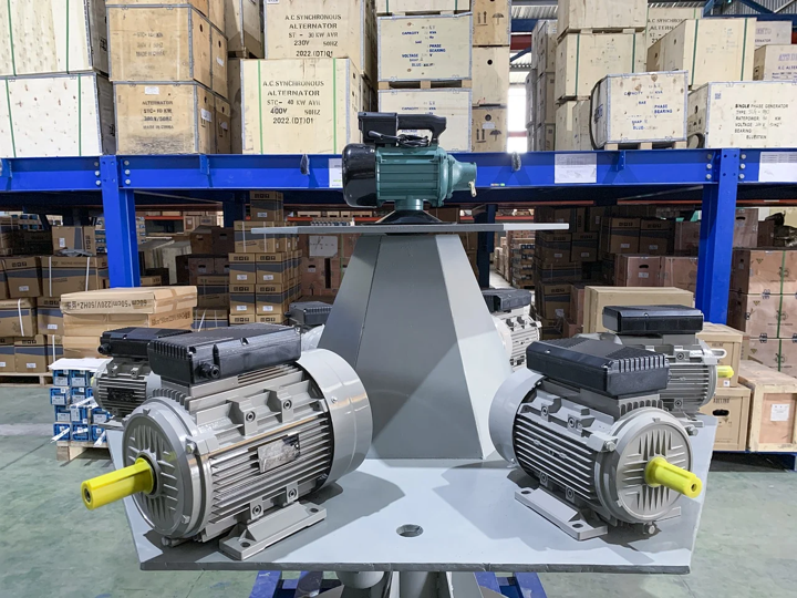 Electrical motor
